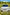 Bimmer Source Silicone Front Mount Intakes - F80 M3 / F82 F83 M4 / F87 M2