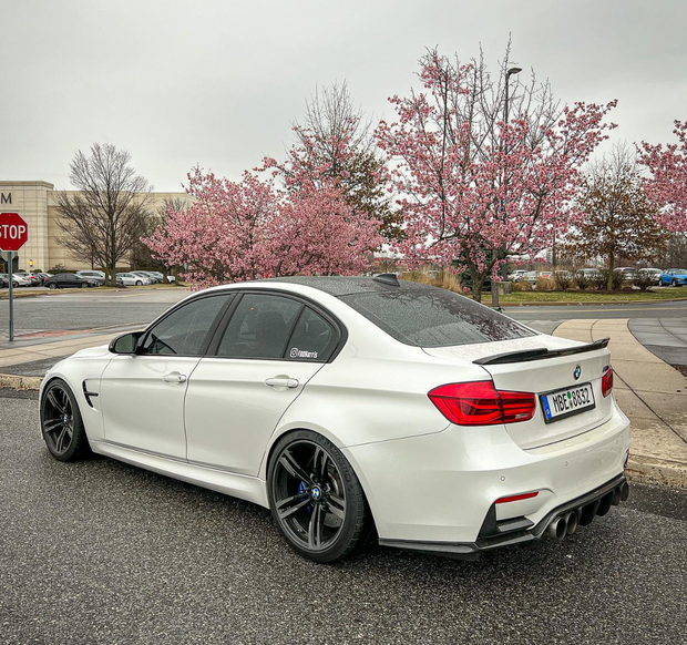 Rear Carbon Fiber Bumper Splitters - F80 M3 / F82 M4