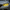CSL Style LED DRL BMW - F22 2 Series / F87 M2