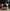 BMW Carbon Fiber Trunk - F80 M3 / F30 3 Series